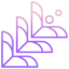 shape-design(1)